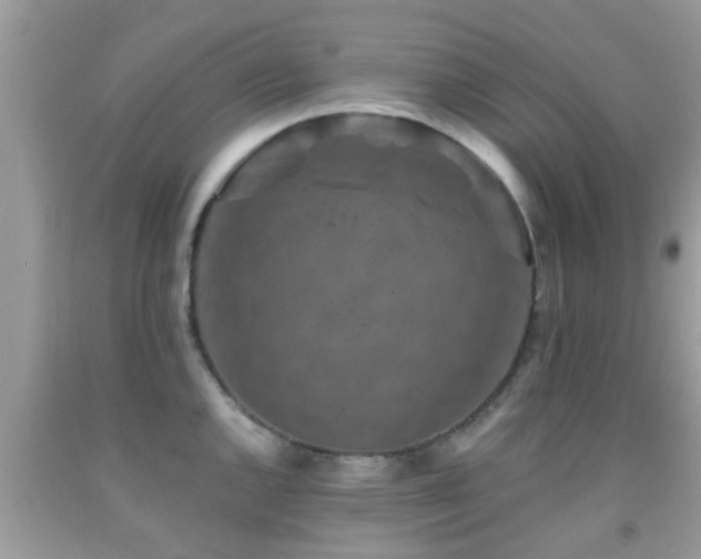 X0000092031144200709061609
