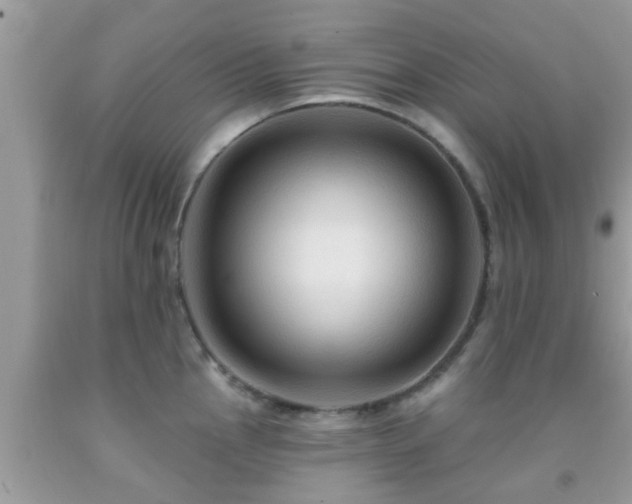 X0000092031145200709061609
