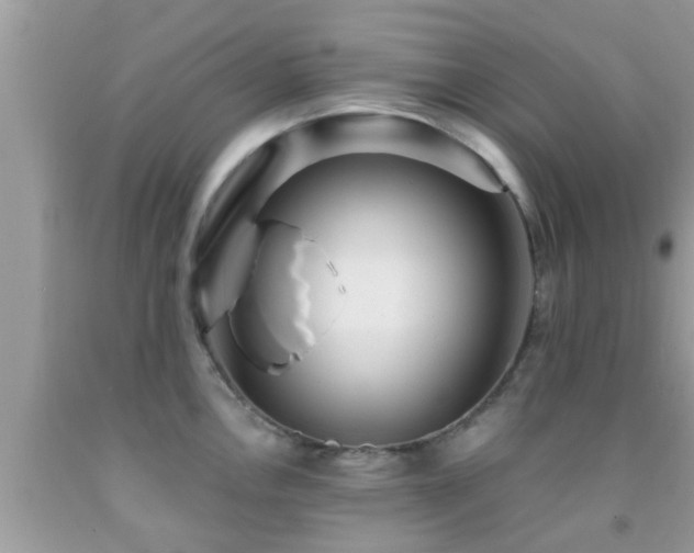X0000092031146200709061609