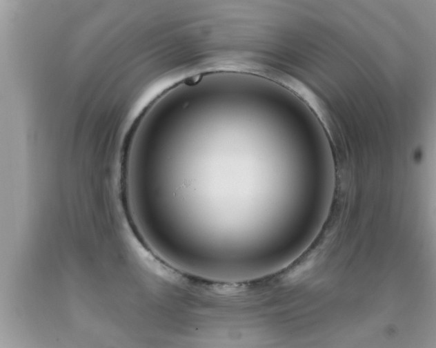 X0000092031147200709061609