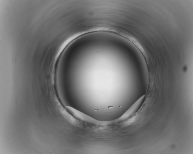 X0000092031148200709061609