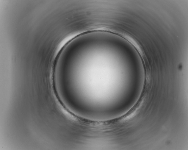 X0000092031149200709061609
