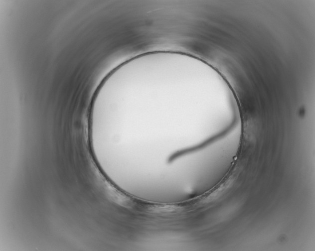 X0000092031150200709061609