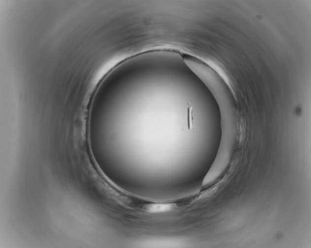 X0000092031151200709061609