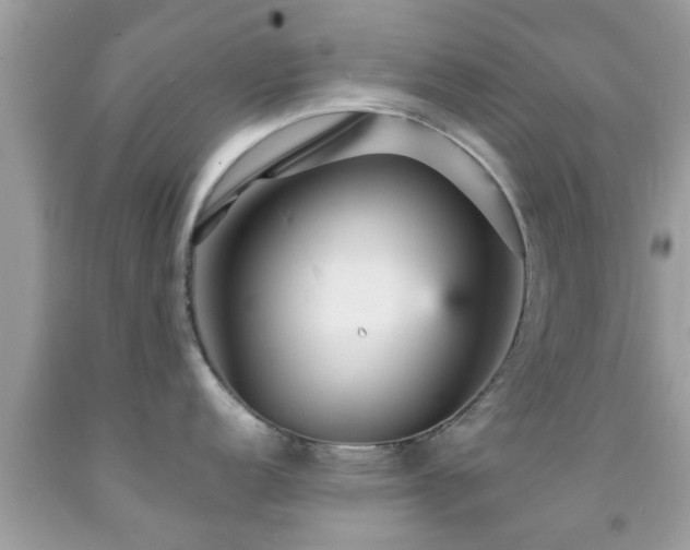 X0000092031152200709061609