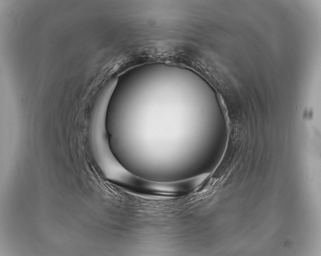 X0000092031153200709061608