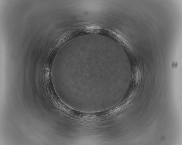 X0000092031154200709061608