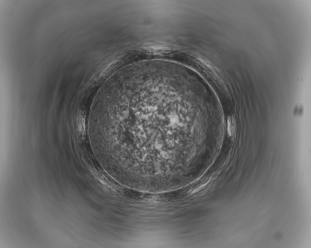 X0000092031155200709061608