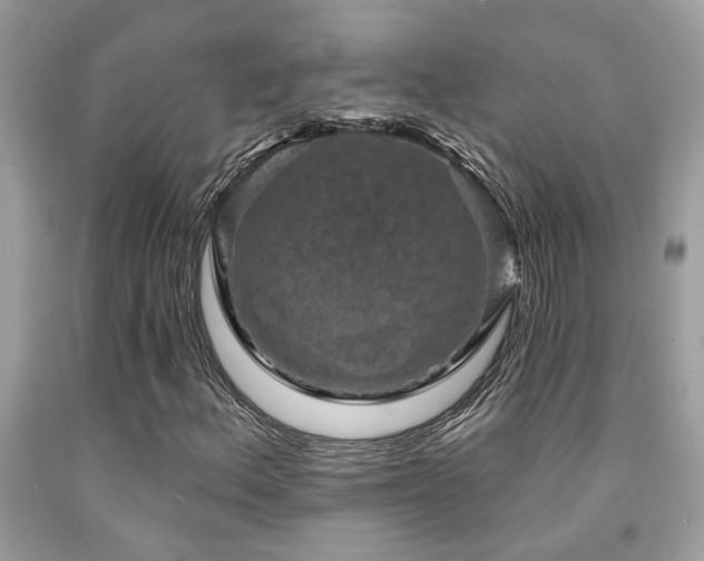 X0000092031156200709061608
