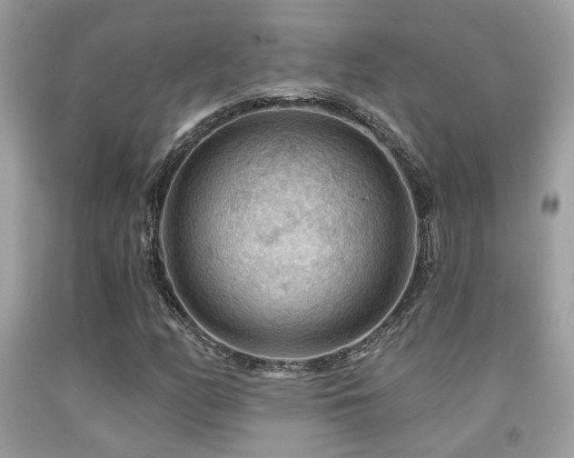 X0000092031158200709061608