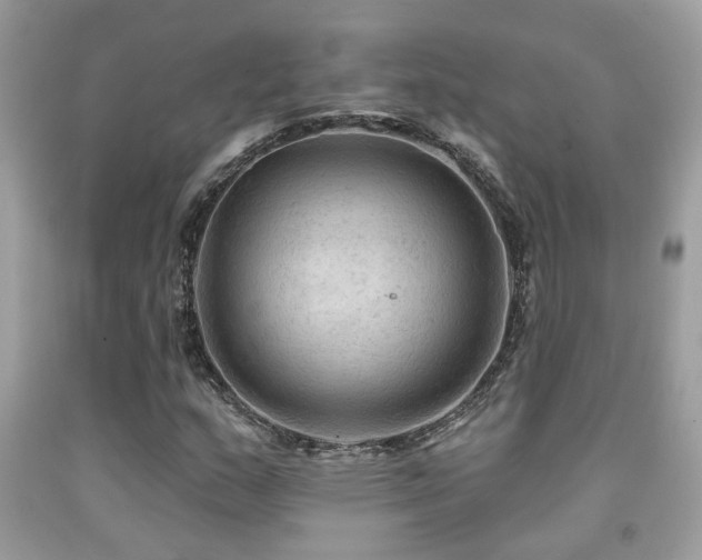 X0000092031159200709061608