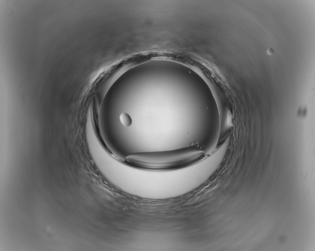 X0000092031160200709061608