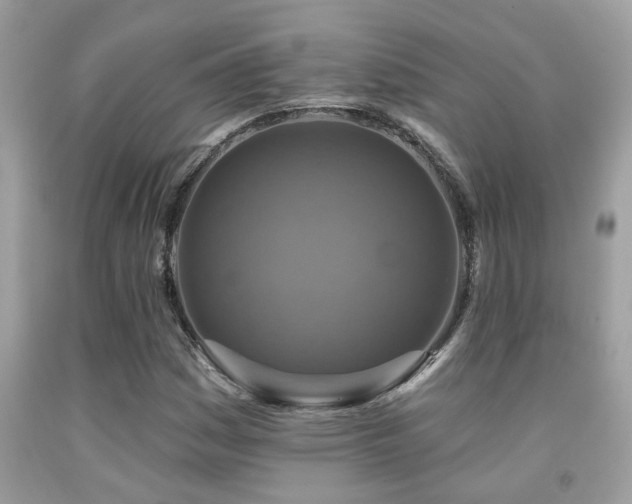 X0000092031161200709061608