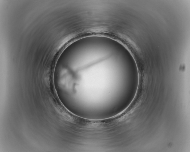 X0000092031162200709061608