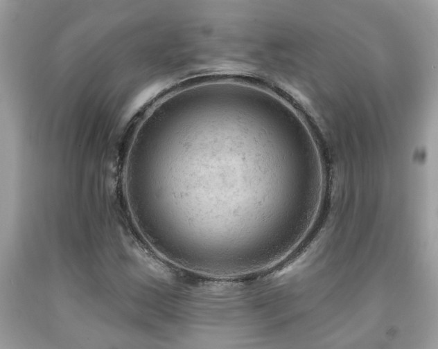 X0000092031163200709061608