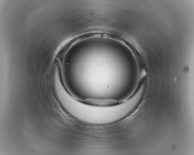 X0000092031164200709061608