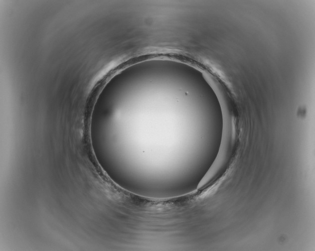X0000092031165200709061608