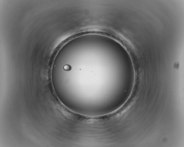 X0000092031166200709061608