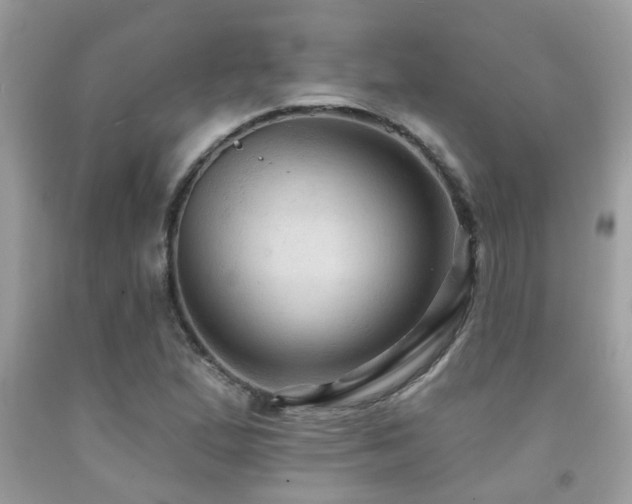 X0000092031167200709061608
