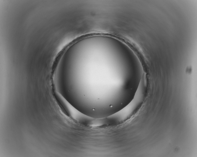 X0000092031168200709061608