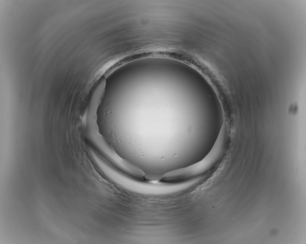 X0000092031169200709061608