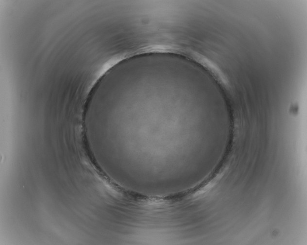 X0000092031170200709061608