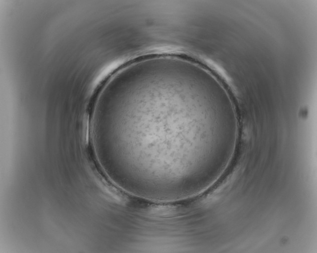 X0000092031171200709061608