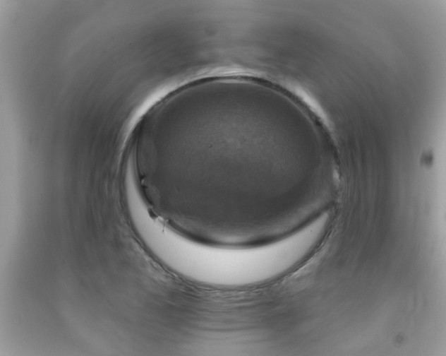 X0000092031173200709061608