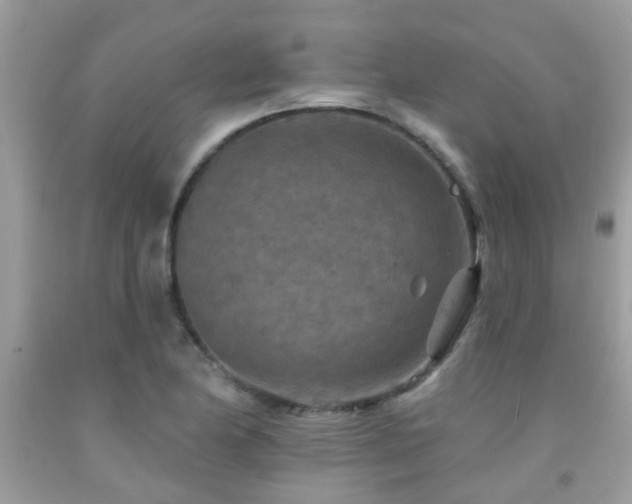 X0000092031174200709061608