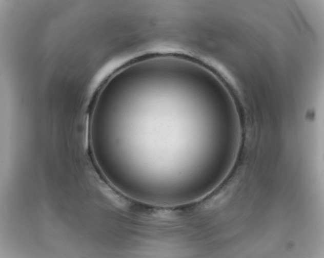 X0000092031175200709061608