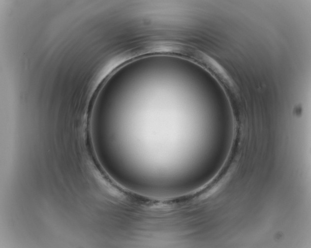 X0000092031178200709061608