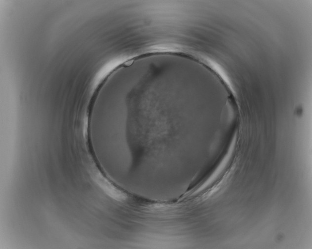 X0000092031179200709061608