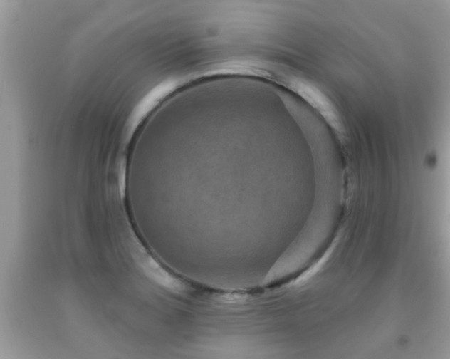 X0000092031180200709061608