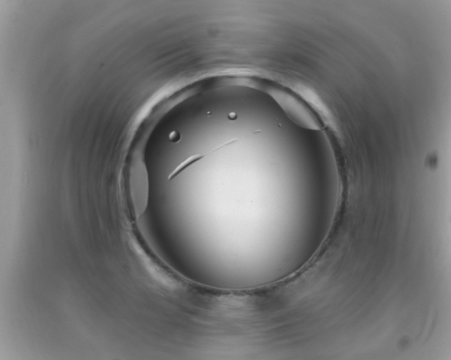 X0000092031181200709061608