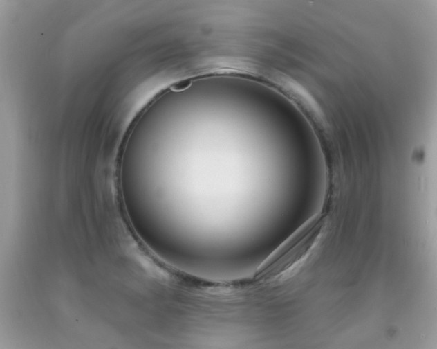 X0000092031182200709061608
