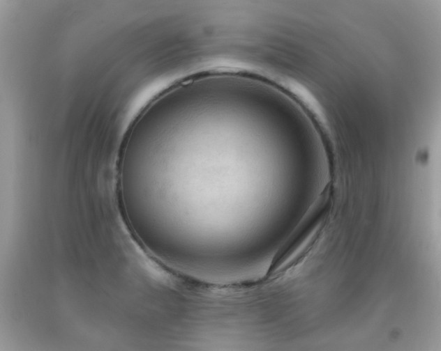 X0000092031183200709061608