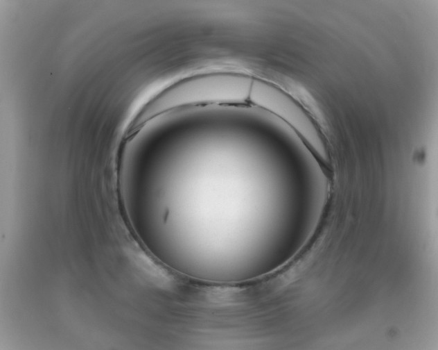 X0000092031184200709061608