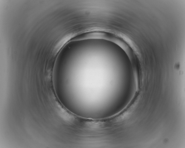 X0000092031185200709061608