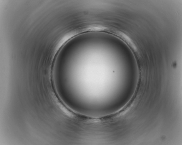 X0000092031186200709061608