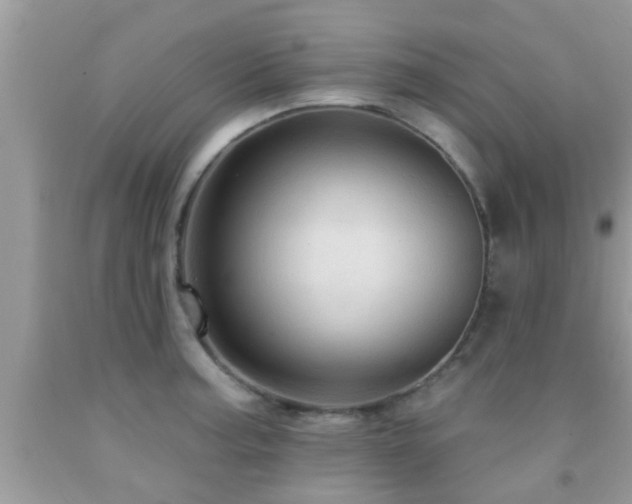 X0000092031187200709061608