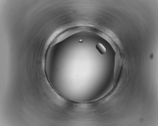 X0000092031188200709061608