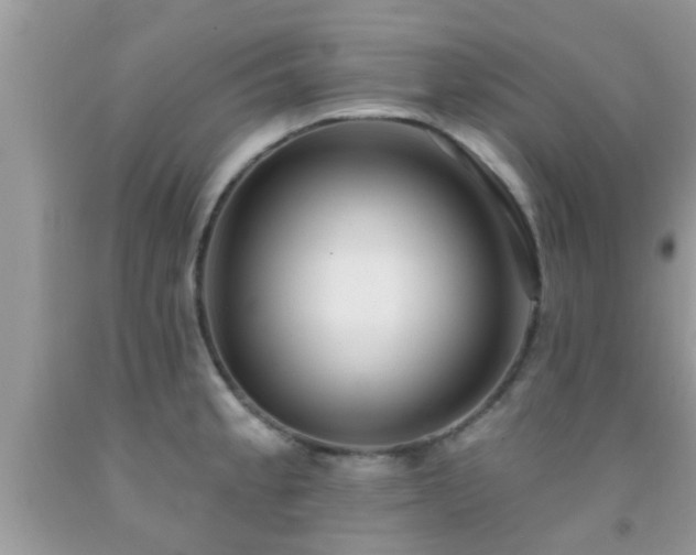 X0000092031189200709061608