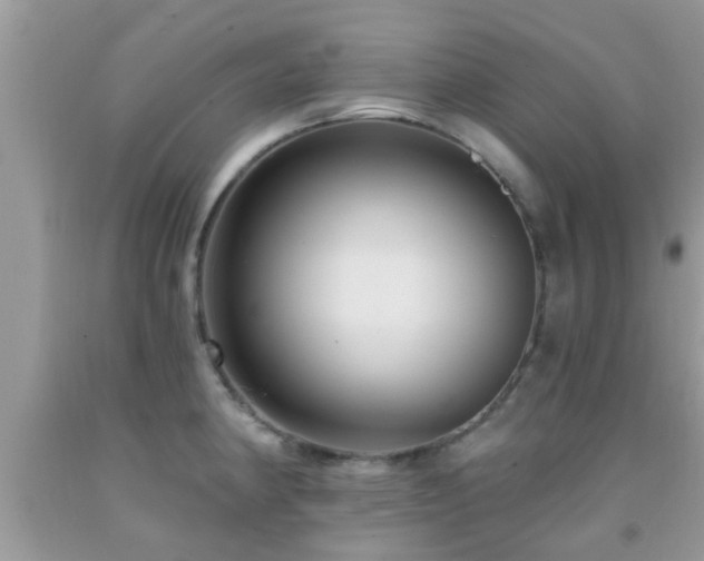X0000092031190200709061608