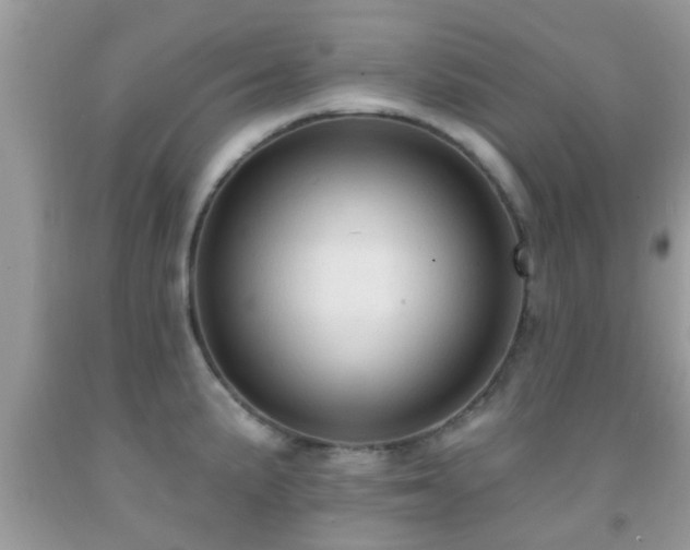 X0000092031191200709061608