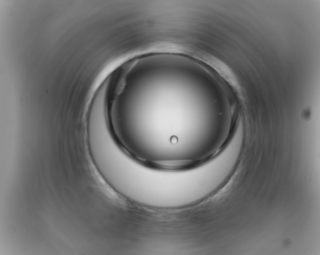 X0000092031192200709061608
