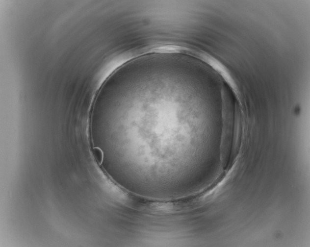 X0000092031194200709061608