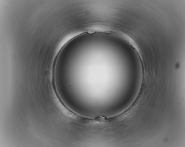X0000092031195200709061608