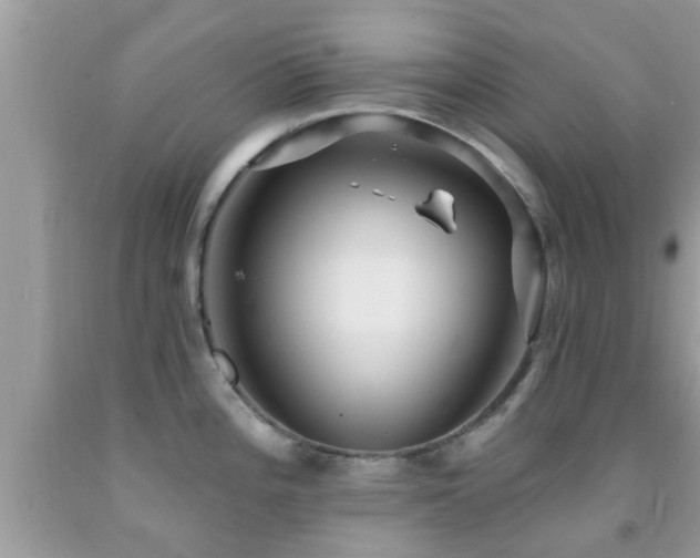 X0000092031196200709061608