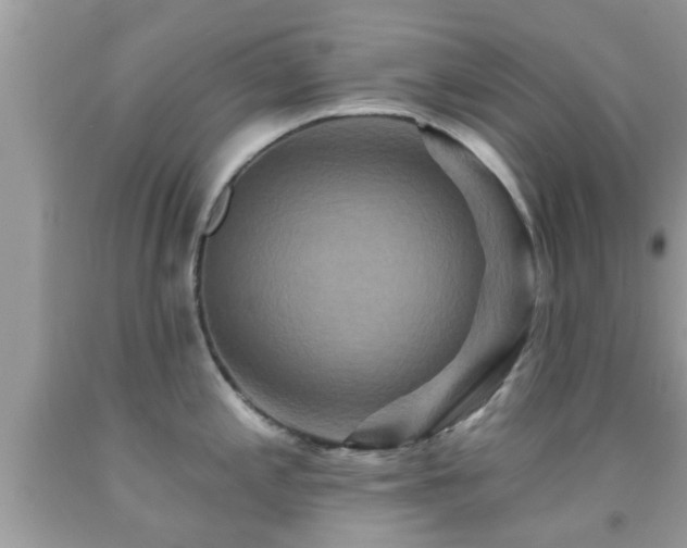 X0000092031197200709061608