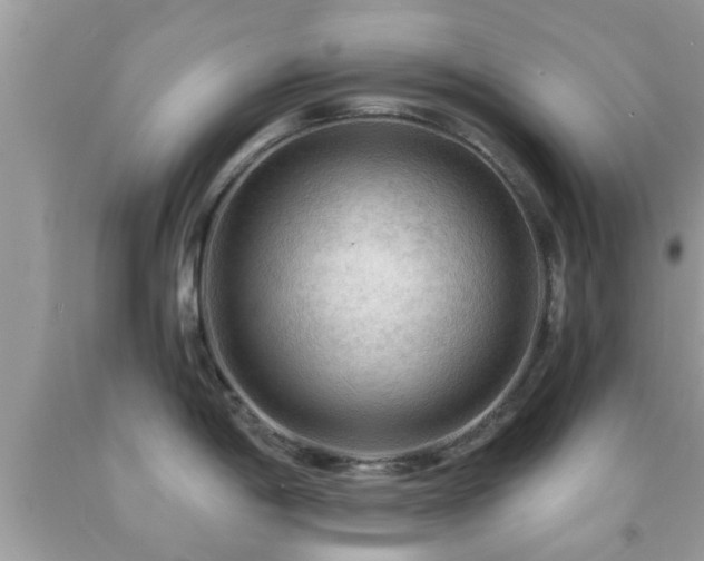 X0000092031198200709061608
